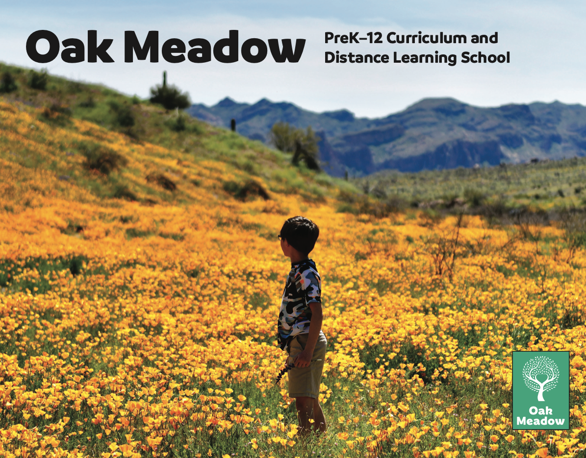 Waldorf Homeschool Curriculum - Oak Meadow & Waldorf